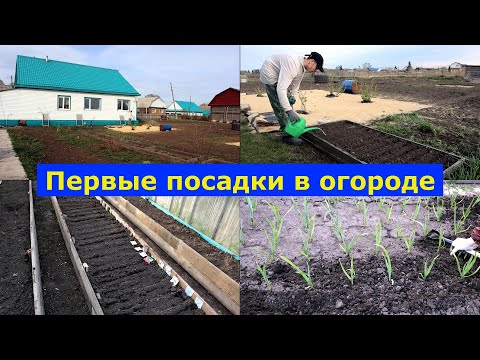Видео: VLOG 01.-02.05.2025г.Первые посадки. Семена. Захар помыл окна. #семья #простыелюди #огород #деревня