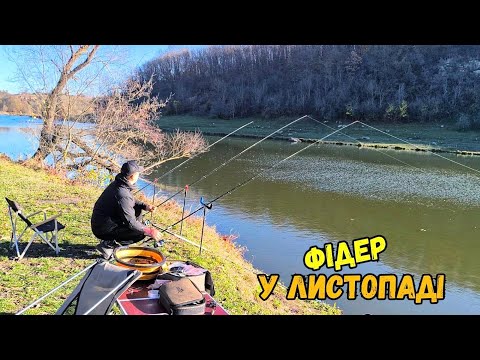 Видео: ПЛІТКУ ПІЙМАВ, КАБАНОСА ЗАМОЧАВ