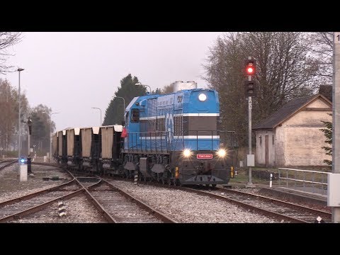 Видео: Тепловоз ТЭМ7-0234 на ст. Лелле / TEM7-0234 at Lelle station