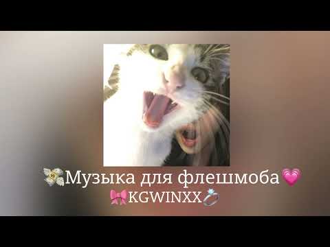 Видео: 🎀Музыка для флешмоба🎀|песни тик ток 2024|