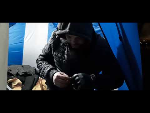 Видео: Налим на реке Неве