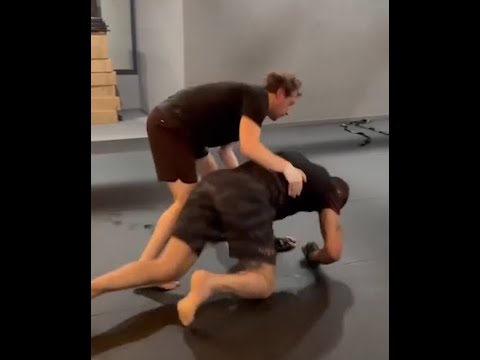 Видео: Алекс Перейра, Чад против Марка Цукерберга