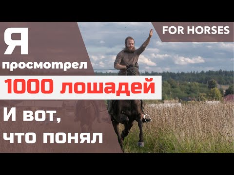 Видео: Как правильно выбрать лошадь? | Александр Обжерин