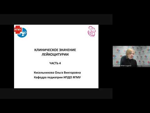 Видео: Клиническое значение лейкоцитурии:  синдромы в детской нефрологии Часть 5. Доцент Кисельникова О.В.
