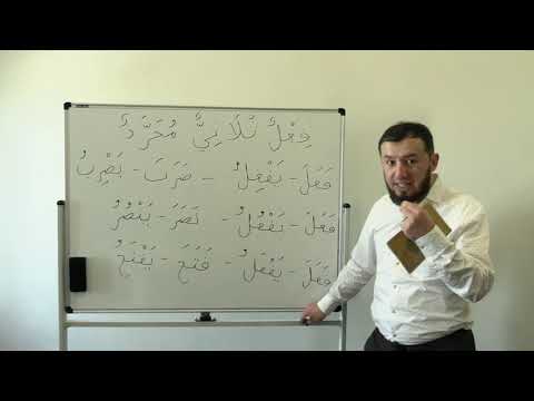 Видео: Сарф. Урок № 2. Введение в науку сарф. Часть 2. #сарф​ #АрабиЯ​ #нарзулло​ #нахв