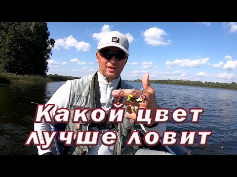 Видео: Тейл спиннер осенью! Какой ЦВЕТ ТЕЙЛ СПИННЕРА лучший ДЛЯ ЩУКИ! Рыбалка на щуку и окуня.