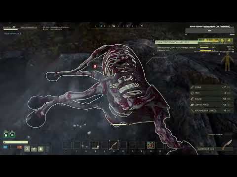 Видео: игра  В соло "великие охоты! ЛОКАЦИЯ ОЛИМП ICARUS №5