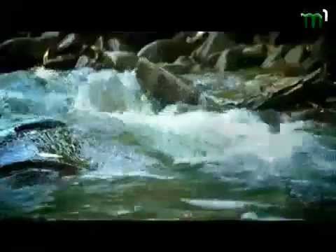 Видео: Тиса-1.Програма "Просто неба". Розтоцька Пастіль.