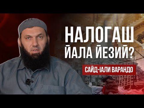 Видео: Налогаш йала йезий? | Сайд-Iали Варандо