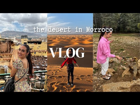 Видео: VLOG: пустинята в Мароко и обиколка на Фез