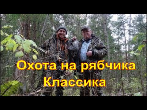 Видео: Рябчик #15  Классика \ Осенняя охота на рябчика