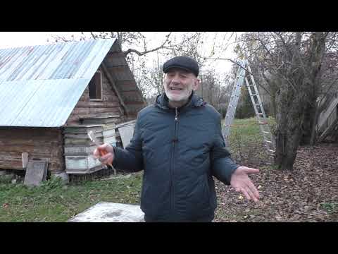 Видео: СЛАБЫЕ ПЧЕЛИНЫЕ СЕМЬИ в ЗИМУ почему