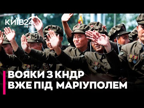 Видео: 😡Північна Корея вступає у війну на боці Росії, а Захід мовчить - коли буде реакція - Сергій КУЗАН