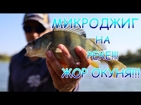 Видео: МИКРОДЖИГ рулит💪💪💪 Злой окунь на реке 👍ЖОР??? Начало!!!