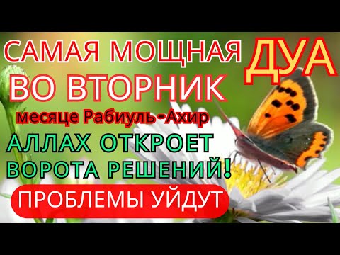 Видео: 💞САМАЯ СИЛЬНАЯ ДУА ВО ВТОРНИК В МЕСЯЦА Рабиуль-Ахир! ЖЕЛАНИЯ СБУДУТСЯ, ПРОБЛЕМЫ ИСЧЕЗНУТ!