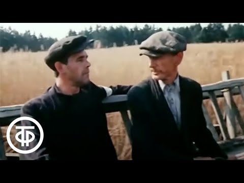 Видео: Плач перепелки. Серия 3 (1990)