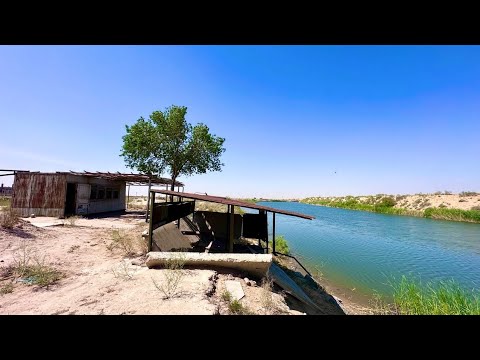 Видео: ХИВАДА БАЛИҚ КЎЛИ СОТИЛАДИ ЗУДЛИК БИЛАН. Хива Компрессорний ёнида