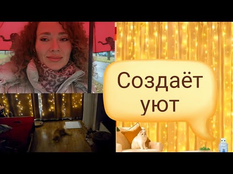 Видео: 4 ноября 2025 г.🛒Распаковка CITRO/Создаем🤩уют/Зеленая🚗карта и страховка #латвия #citro #зеленаякарта