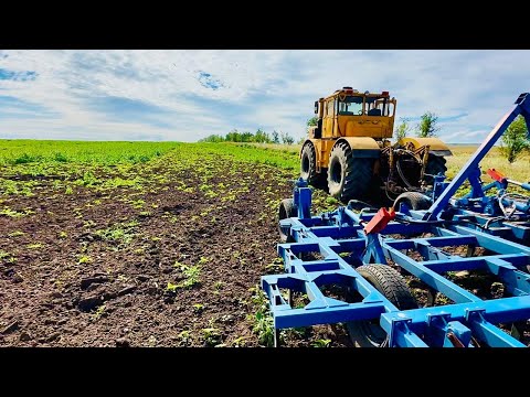 Видео: Культивация паров К-700