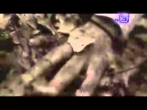 Видео: документальный цикл "Нечисть". Русалки. от 25.10.2012