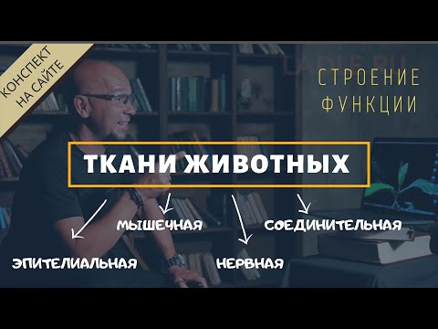 Видео: Ткани животных. Биология 6 класс. Строение Функции. Нервная, мышечная, эпителиальная, соединительная