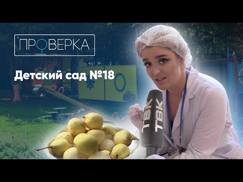 Видео: Детский сад №18 / «Проверка» ТВК