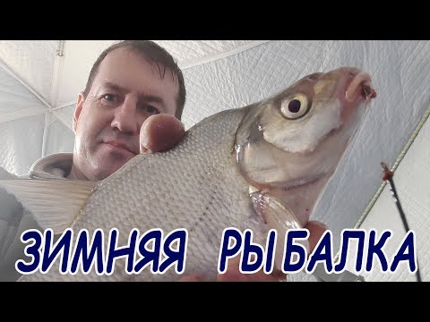 Видео: Ловля леща зимой на Воронежском водохранилище