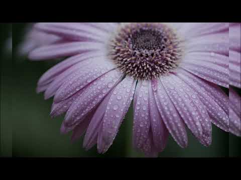 Видео: Грустные нашиды 💔🥀