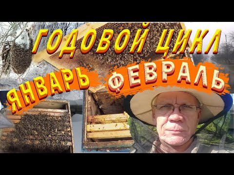 Видео: Что нужно делать с пчелами в Январе и Феврале? ПРАВИЛЬНАЯ вентиляция - Гарантия Успешной зимовки!