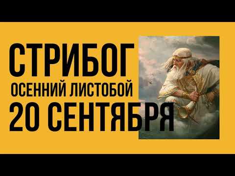 Видео: СТРИБОГ ОСЕННИЙ ЛИСТОБОЙ - 20 СЕНТЯБРЯ