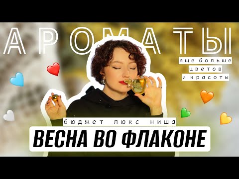 Видео: ТОП 15 ВЕСЕННИХ АРОМАТОВ / БЮДЖЕТЫЕ, ЛЮКСОВЫЕ, НИШЕВЫЕ