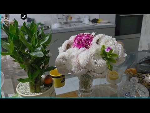 Видео: СИЗ УЧУН КИЗИК РОЛИК АЛБАТТА🪷🪷🪴🪴🪴🐝🐝🐝