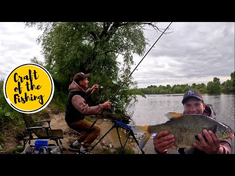 Видео: ❗️ЖОР ЛЯЩА НА ДЕСНІ В ТРАВНІ❗️ПОКЛЬОВКИ ЛЯЩА !🎣ФІДЕР ВЕСНОЮ