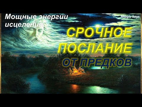 Видео: Срочное 🔥ПОСЛАНИЕ от ПРЕДКОВ🌳🍀