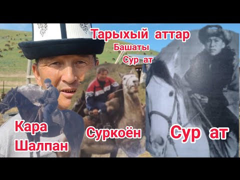 Видео: Каныбек Чойтоев