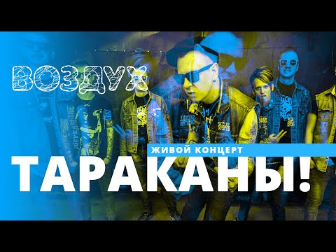 Видео: Тараканы! // ВОЗДУХ // НАШЕ