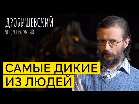 Видео: Первобытные народы: насколько они сохранились и что мешает их изучению?