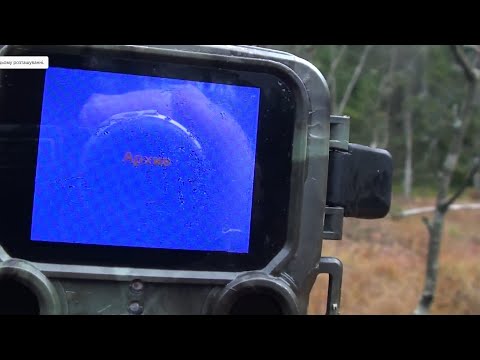 Видео: Знову почалося, карта пам'яті прийшла у несправний стан.