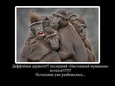 Видео: Дважды РСП или очередная аленья история