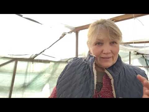 Видео:  Відповідаю на ваші питання, знову болталки