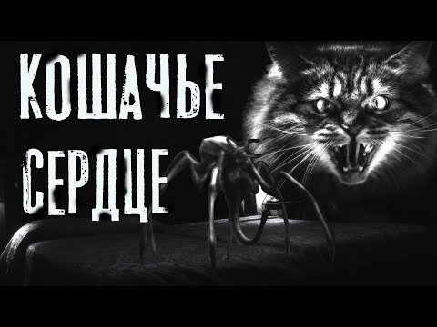 Видео: Страшные истории на ночь. КОШАЧЬЕ СЕРДЦЕ. Мистика. Ужасы