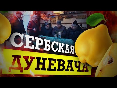 Видео: Сербский самогон из АЙВЫ