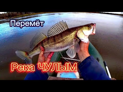 Видео: Перемёты. Проверяю и снимаю. Сменил мотор. Река ЧУЛЫМ.