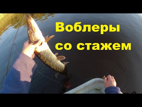Видео: Воблеры со стажем.