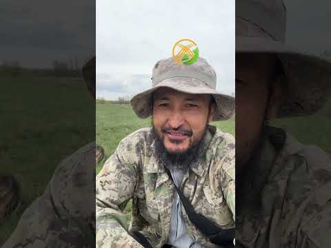 Видео: Қандай ауылда малмен шаруашылық жасауға болмайды?