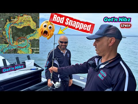 Видео: Исследование Западного порта | В поисках BIG RED | Выпуск №59