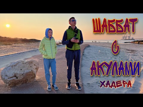 Видео: ШАББАТ С АКУЛАМИ. ГОРОД ХАДЕРА ИЗРАИЛЬ - МЕСТО ГДЕ ПЛАВАЮТ ЭТИ ЧУДНЫ СУЩЕСТВА - ВИРТУАЛЬНАЯ ПРОГУЛКА