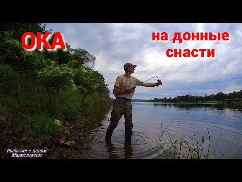 Видео: Ловлю на горох пшеницу  сало. Рыбалка на ОКЕ на донки.