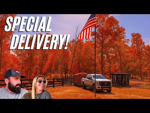 Видео: Мы ждали два года!