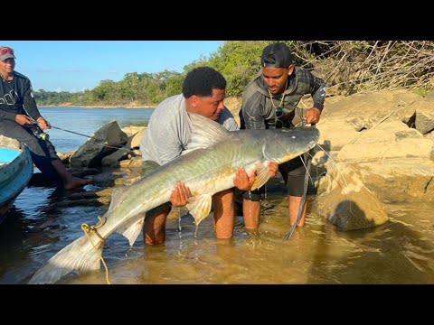 Видео: ДЕРЕВНЯ МИКОБИ и ГИГАНТСКИЙ СОМ ПИРАЙБА (лау-лау).
